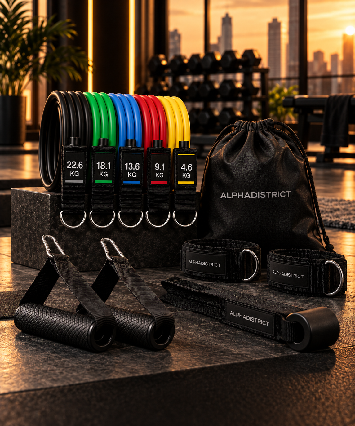 ALPHADISTRICT Resistance Bands Set mit Zubehör